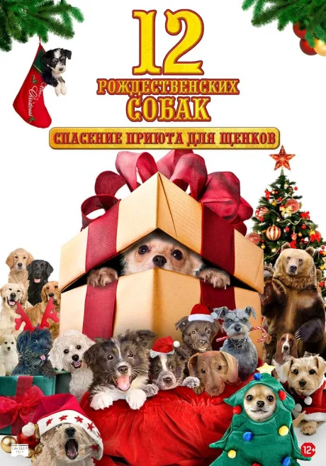 12 рождественских собак: Спасение приюта для щенков (2012)