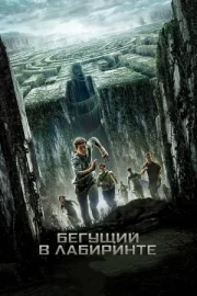 Бегущий в лабиринте 1 (2014)