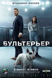 Бультерьер (2022)