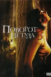 Поворот не туда 3 (2009)