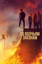 По волчьим законам (сериал 2016 – 2022)