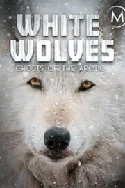 Белые волки: Призраки Арктики (2017)