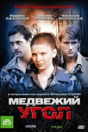 Медвежий угол (сериал 2010)