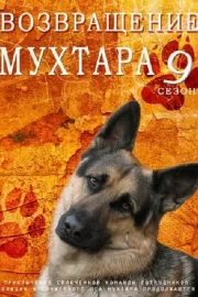 Возвращение Мухтара 9 (сериал 2014)