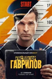 Инспектор Гаврилов (сериал 2024)