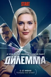 Дилемма (сериал 2024)