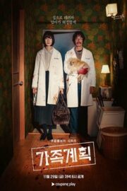 Семейный план (сериал 2024 – …)