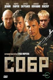 СОБР (сериал 2012)