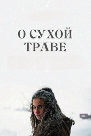 О сухой траве (2023)
