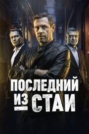 Последний из стаи (сериал 2025)
