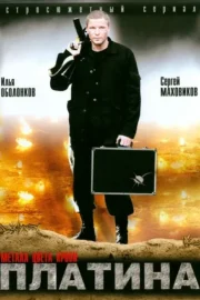 Платина (сериал 2007)