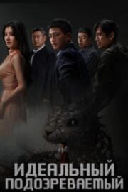 Идеальный подозреваемый (сериал 2025)
