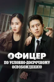 Эксперт по УДО / Офицер по условно-досрочному освобождению (сериал 2024)
