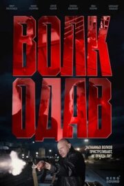 Волкодав (сериал 2025)