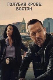 Голубая кровь: Бостон (сериал 2025 – …)