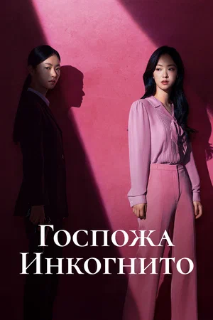 Госпожа Инкогнито (сериал 2025 – …)
