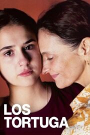 Черепаха (2024)