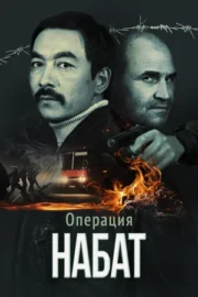Операция «Набат» (2024)