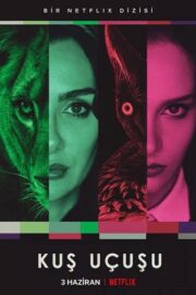 Полёт птицы (сериал 2022)