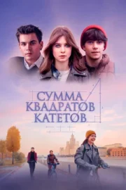 Сумма квадратов катетов (2025)