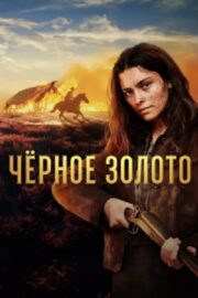 Чёрное золото (сериал 2025 – …)