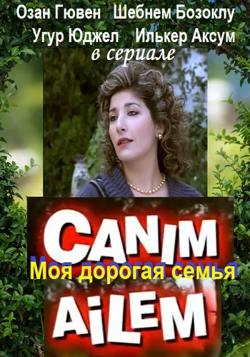 Дорогая моя семья (сериал 2008)