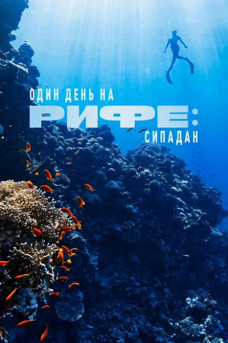 Один день на рифе: Сипадан (2023)