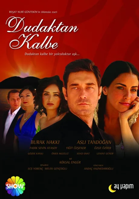 Симфония любви (сериал 2007)